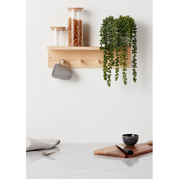 Small wall store display shelf